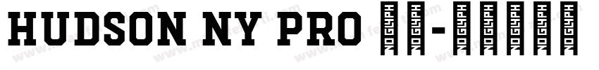 Hudson NY Pro 字体字体转换